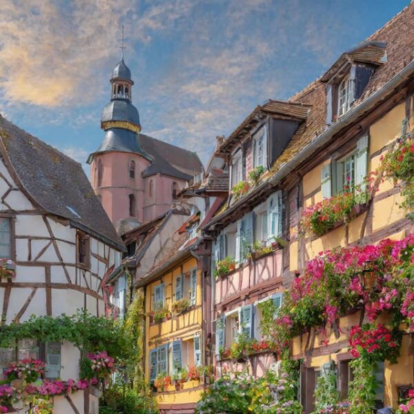 From Zurich Full-Day Private Tour Basel and Colmar - What to Expect