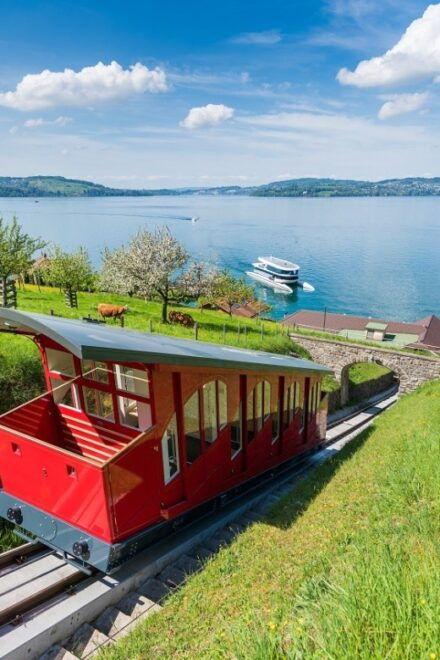 From Zurich: Funicular to Mt. Bürgenstock & Lake Lucerne - Language Options and Duration