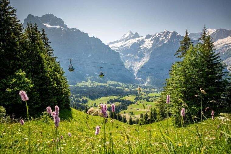 From Zurich: Grindelwald First Cable Car & Interlaken - Transportation and Amenities