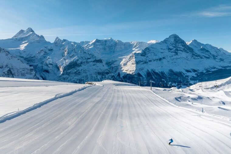 From Zurich: Grindelwald First Cable Car & Interlaken - Breathtaking Views of the Swiss Alps