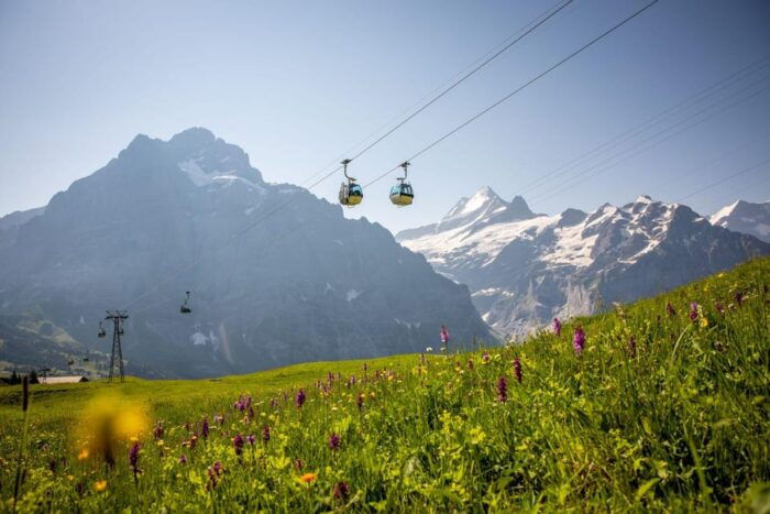 From Zurich: Grindelwald First Cable Car & Interlaken - Exploring the Charming Village of Grindelwald
