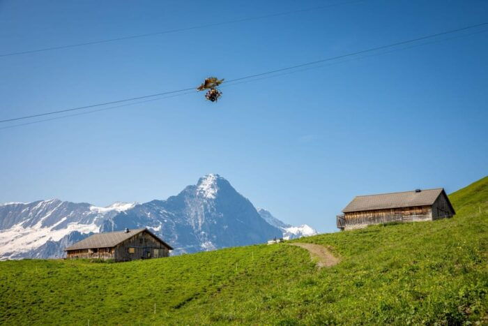 From Zurich: Grindelwald First Cable Car & Interlaken - Discovering the Picturesque Town of Interlaken