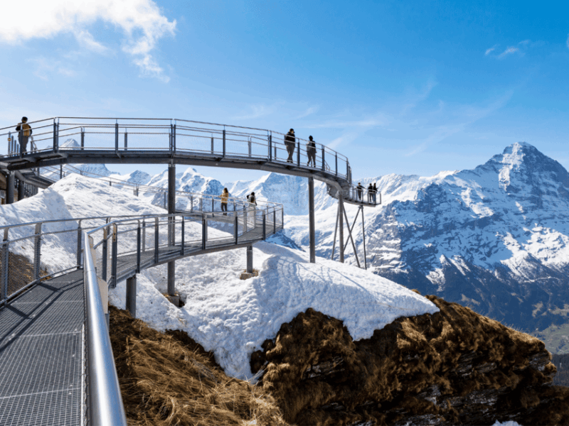From Zurich: Grindelwald First Top of Adventure Private Trip - Good To Know