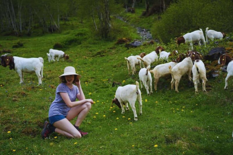 From Zurich: Hidden Swiss Gems Private Day Tour with a Local - Exploring Swiss Hidden Gems: What to Expect