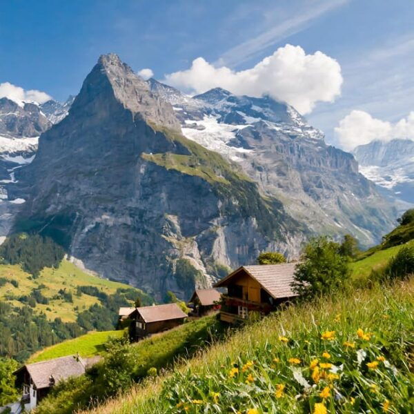 From Zurich: Interlaken and Grindelwald Private Day Tour - Frequently Asked Questions
