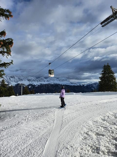 From Zurich Main Station: 4h Ski School for Beginners With Arrival - Travel Logistics