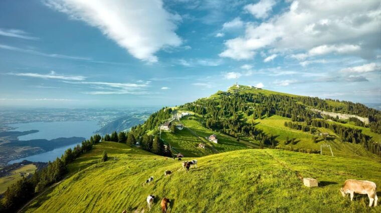 From Zurich: Mount Rigi and Lucerne Small-Group Day Trip - Vitznau: Scenic Views and Photo Stop