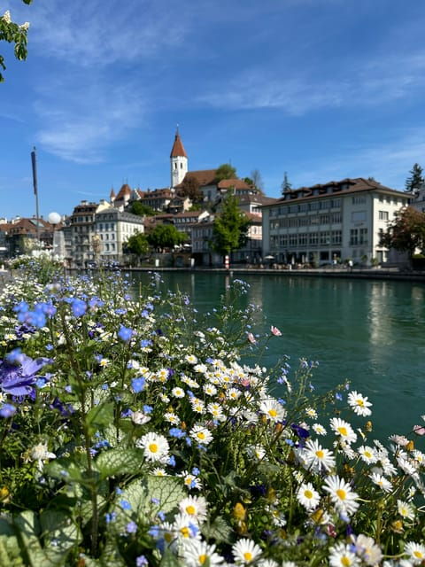 From Zurich Private Day Tour to Lauterbrunen by Car - Good To Know