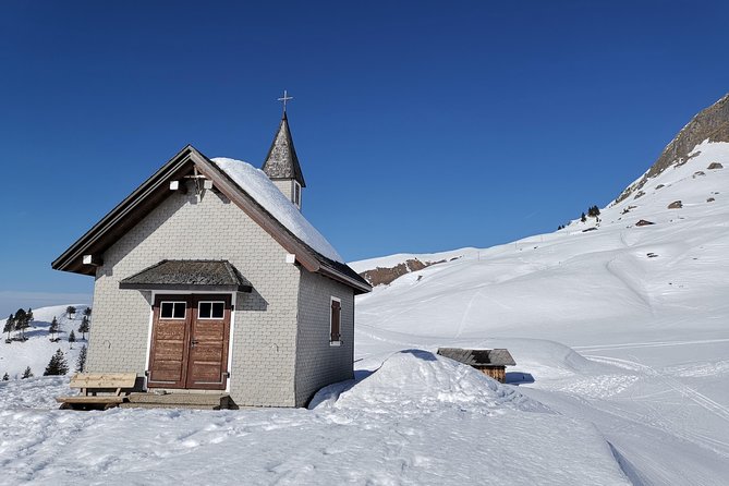 From Zurich: Private Snow Hike, Mountains and Chocolate Daytrip - Private and Personalized Experience