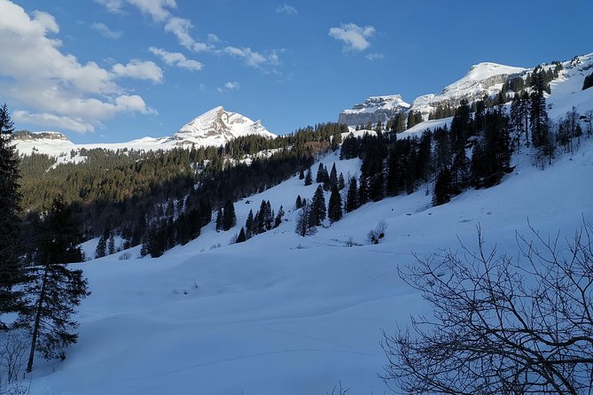 From Zurich: Private Snow Hike, Mountains and Chocolate Daytrip - The Sum Up
