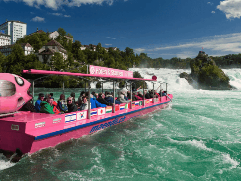 From Zurich: Rhine Falls & Stein Am Rhein Private Day Trip - Itinerary and Highlights