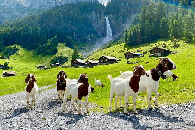 From Zurich: the Most Beautiful Insider Spots in Switzerland (Private 1-Day Tour) - Tour Details and Information