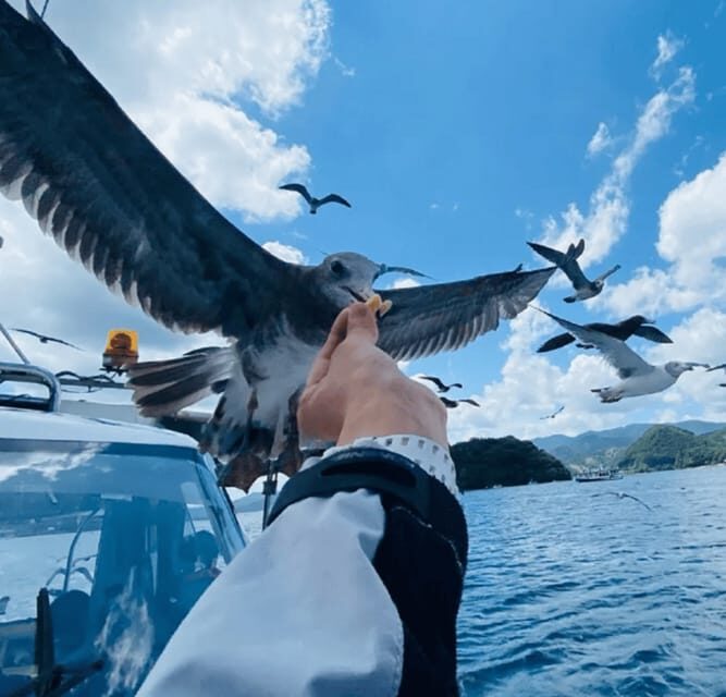 FromOsaka/Kyoto:Hiroshima & Miyajima Private Tour with Lunch - Good To Know  