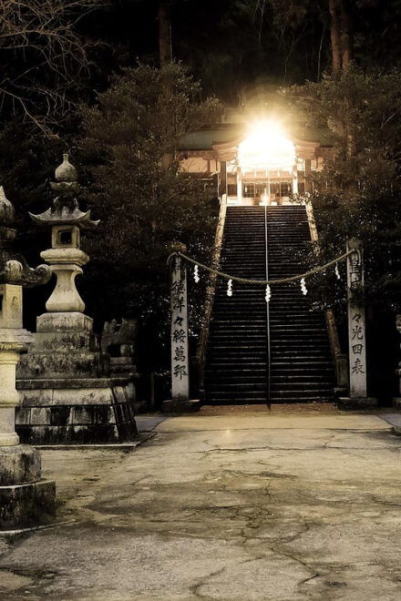 FromTokyo: Hakone & Lake Ashi Private Chartered Day Trip - Pickup and Transportation Details