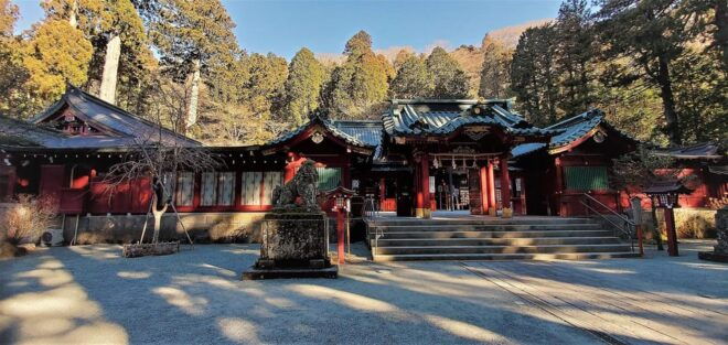 FromTokyo: Hakone & Lake Ashi Private Chartered Day Trip - Important Information and Guidelines