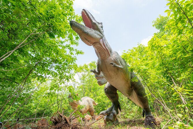 FromTsuruga Port Private Car Tour - Good To Know