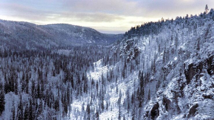 Frozen Waterfalls Hiking Tour in Korouoma Canyon - Discover Rare Wildlife Encounters