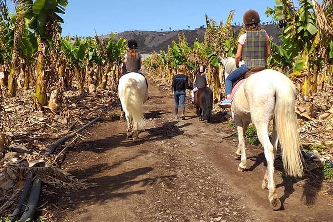 Fruit Farm Horse Riding - Additional Information for Travelers