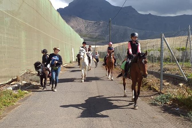 Fruit Farm Horse Riding - Cancellation Policy for the Tour