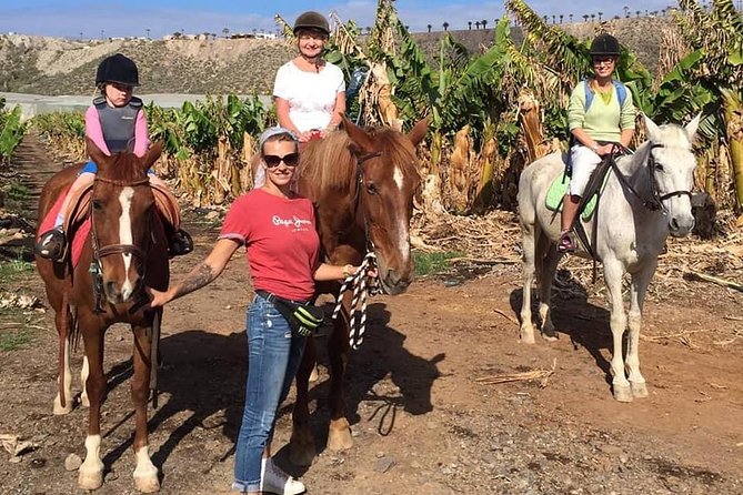 Fruit Farm Horse Riding - Traveler Photos and Experiences