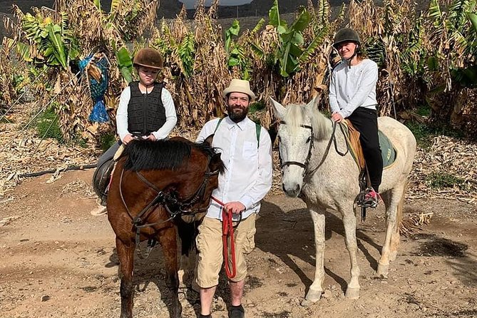 Fruit Farm Horse Riding - Common Questions
