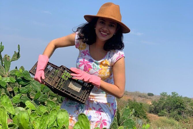 Fruit Garden and Mezcal Tasting Tour with Lunch Included - An In-Depth Look at the Tour Experience