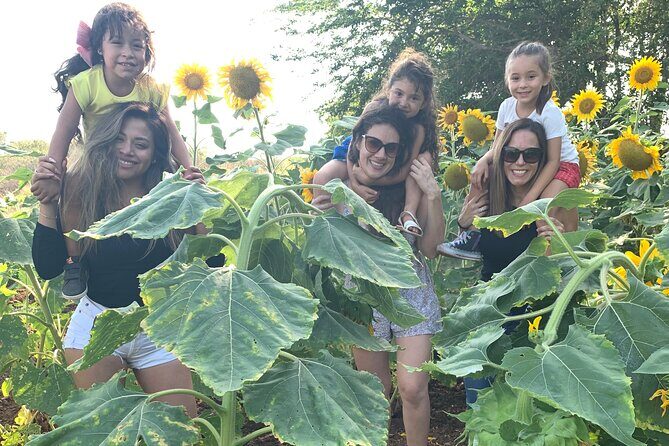 Fruit Garden and Mezcal Tasting Tour with Lunch Included - Who Will Love This Tour?