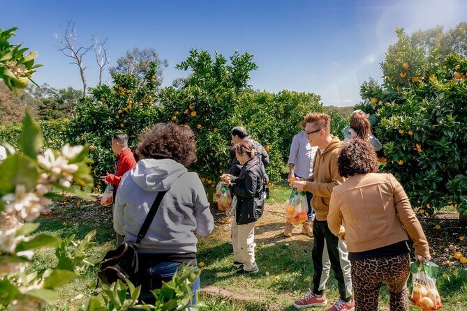 Fruit Picking & Nature Private Tour Yarra Valley & Warburton - What’s Included and What’s Not