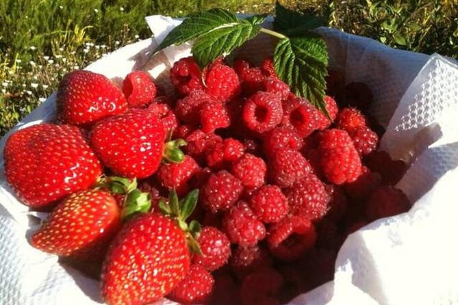 Fruits Picking Tour From Melbourne - Delicious Fruit Recipes to Try With Your Harvest