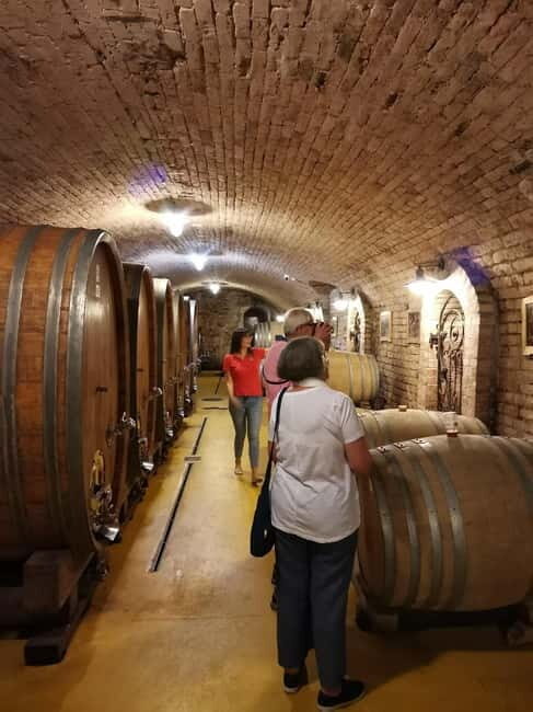 Fruka Gora Wine Tasting - An In-Depth Look at the Fruka Gora Wine Tasting Tour