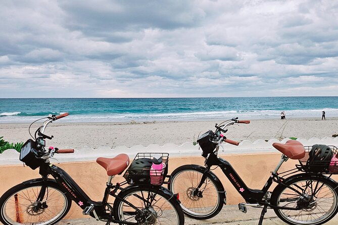 Ft. Lauderdale Brightline Train to Palm Beach & 3hr Ebike Rental - Final Thoughts  