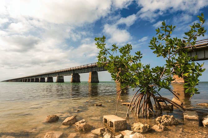 Ft. Lauderdale to Key West Bus Tour W/ 6 Hours of Free Time in KW - Tour Duration and Location