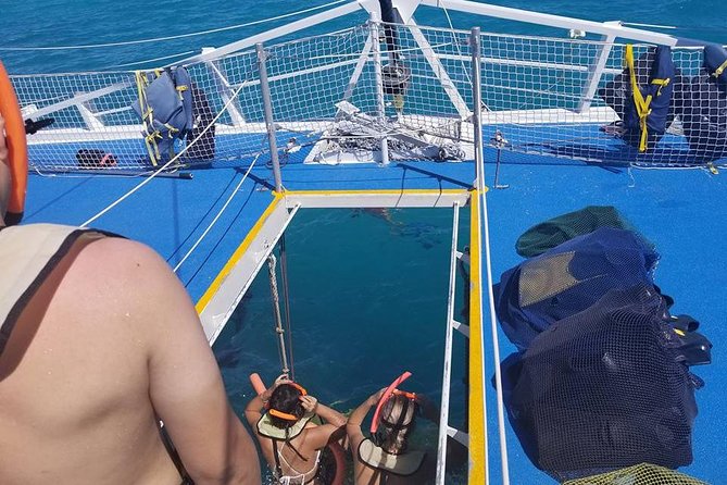 Ft Lauderdale to Key West With Optional Activities - Customer Experiences and Feedback