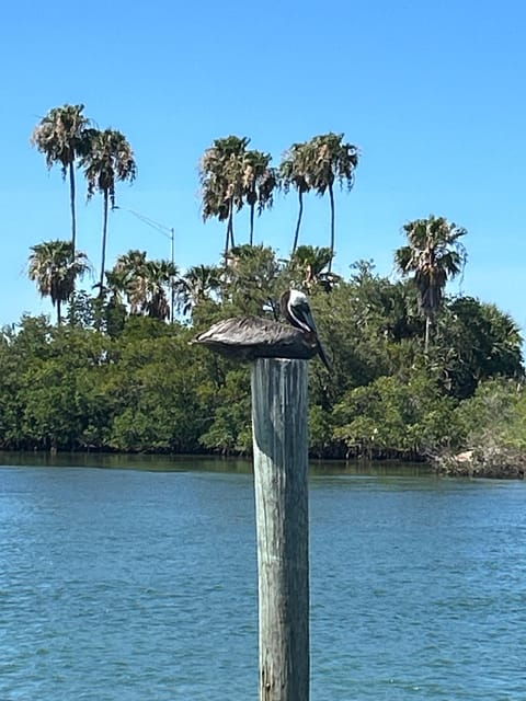 Ft Pierce FL: Sunset Celebration Treasure Coast - Wildlife and Scenic Views