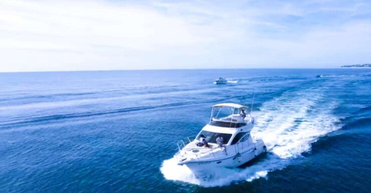Fuengirola : 2 Hours Yacht Trip Drinks and Dolphin Encounter - Trip Overview and Pricing