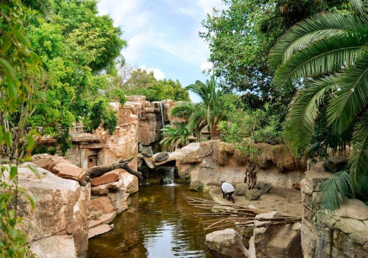Fuengirola: Bioparc Entrance Ticket - Experience at Bioparc Fuengirola