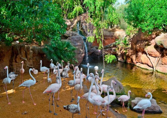 Fuengirola: Bioparc Entrance Ticket - Review Summary