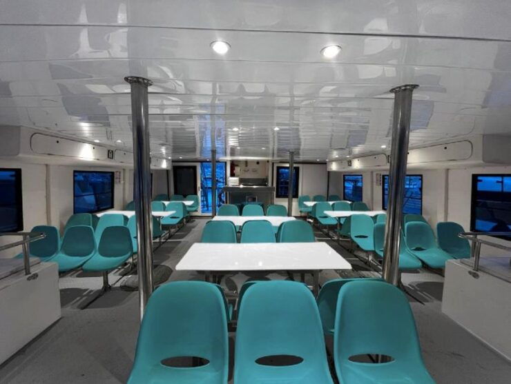Fuengirola: Catamaran-Tour to Spot Dolphins - Experience Highlights