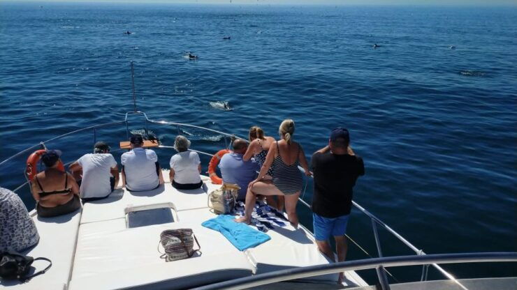 Fuengirola: Dolphin Spotting Yacht Tour With Drinks & Snacks - Experience Highlights