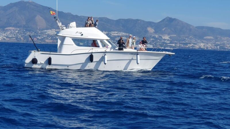 Fuengirola: Dolphin Watching Boat Trip  Fun for All Ages - FAQ