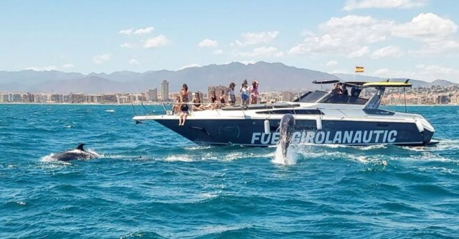 Fuengirola: Dolphin Watching by Yacht With Snacks and Drinks - Important Information