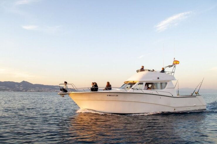 Fuengirola: Dolphin Watching Excursion With Refreshments - Inclusions and Accessibility Details