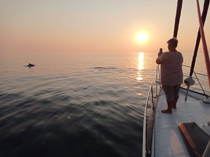 Fuengirola: Dolphin-Watching Sailing Tour With Drinks - Tour Highlights