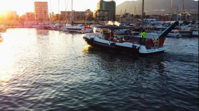 Fuengirola: Fantastic Dolphin Watching Yacht Tour - Inclusions