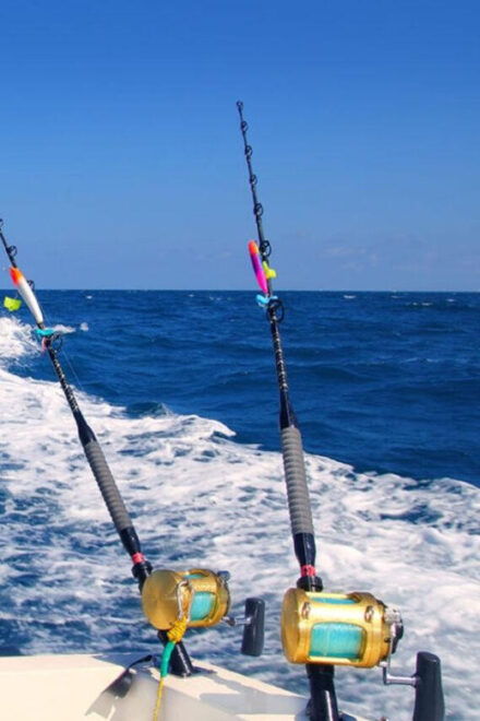 Fuengirola Fishing Trip - Meeting Point and What to Bring