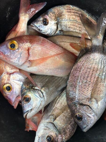 Fuengirola Fishing Trip - Customer Feedback