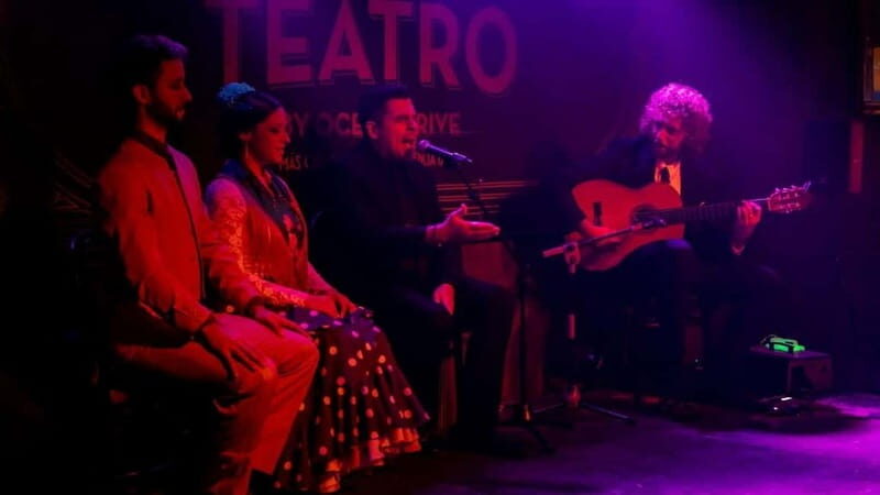 Fuengirola: Flamenco Show - Who Should Consider This Experience?