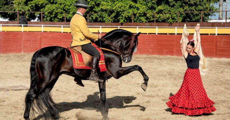 Fuengirola: Spanish Horse Show, Dinner And/Or Flamenco Show - Transportation Information