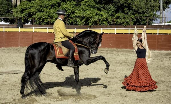 Fuengirola: Spanish Horse Show, Dinner And/Or Flamenco Show - Customer Reviews