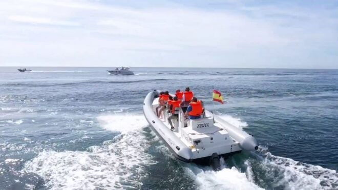 Fuengirola: Speedboat & Encounter Dolphins - Dolphin Encounter Experience